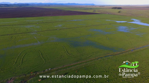 DOS EÓLICOS VIRA P FAZENDA_Moment.00_02_57_03.Quadro235_f9477f7f283112ef5d0926eaed2c68fbb0aabd30.jpg